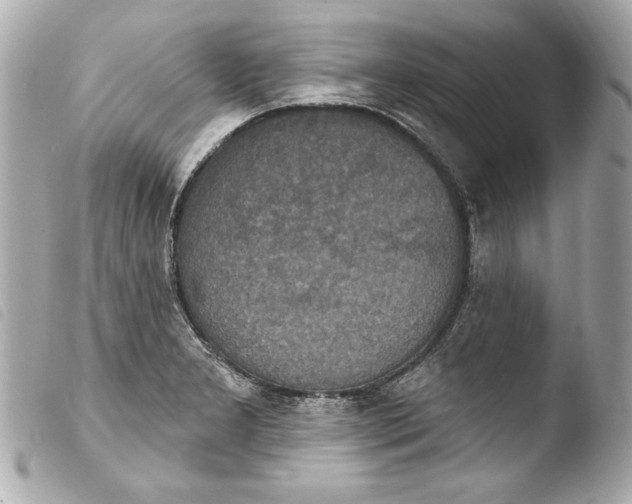 X0000103951277200810031337