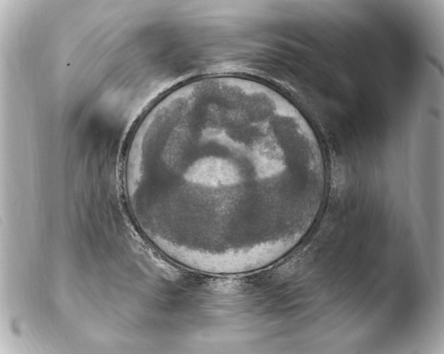 X0000103951278200810031337