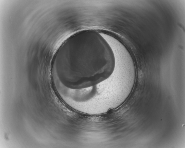 X0000103951279200810031337