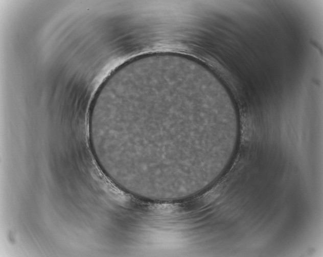 X0000103951280200810031337