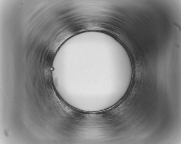 X0000103951281200810031337