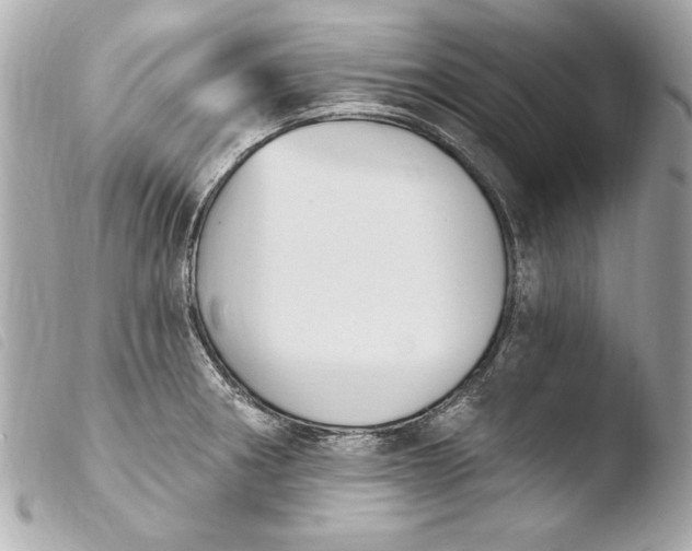 X0000103951282200810031337