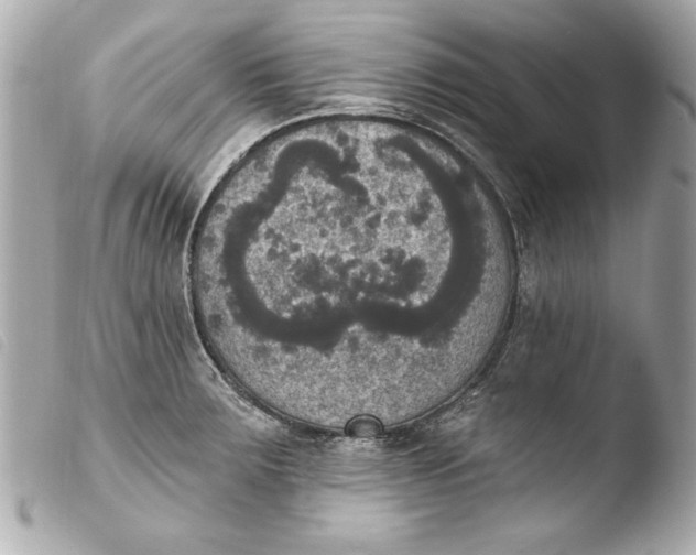 X0000103951283200810031337