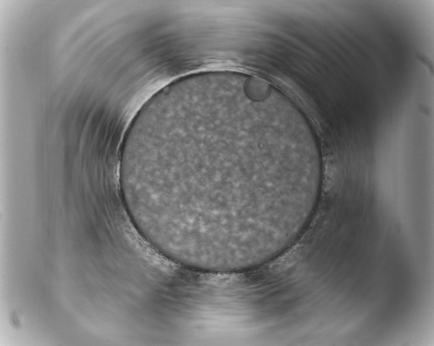 X0000103951284200810031337