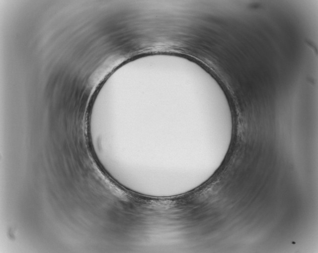 X0000103951285200810031337