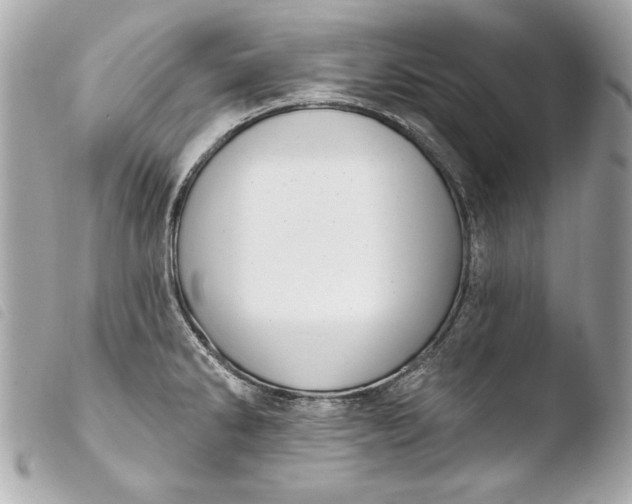 X0000103951286200810031337