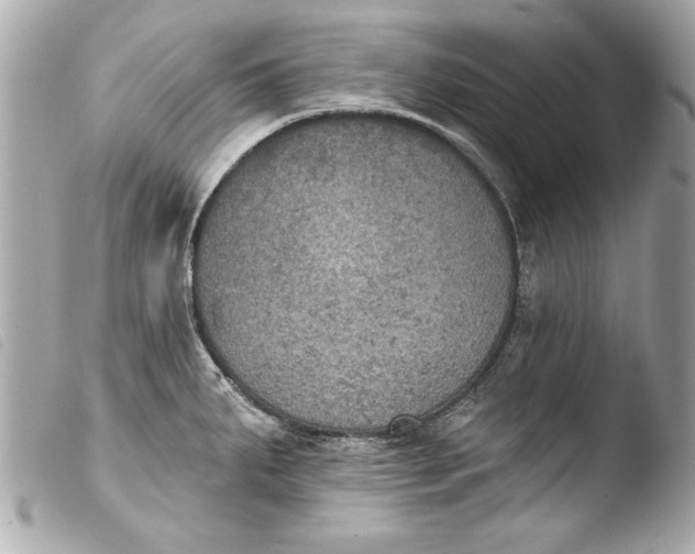 X0000103951287200810031337