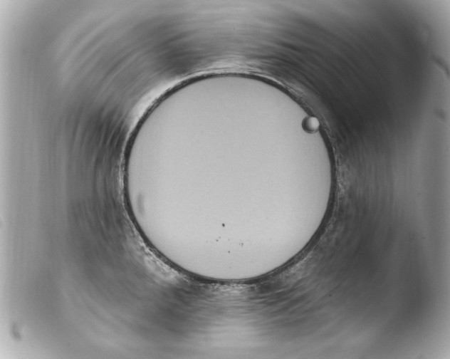 X0000103951288200810031337