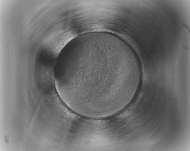 X0000103951289200810031337