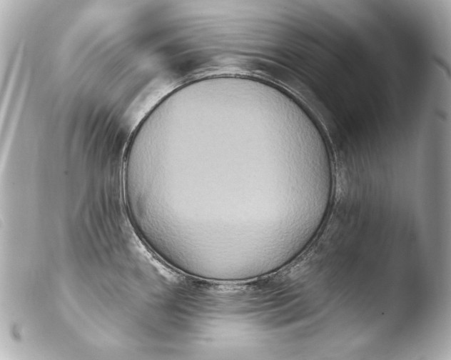 X0000103951290200810031337