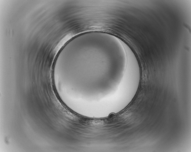 X0000103951291200810031337