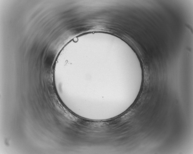 X0000103951292200810031337