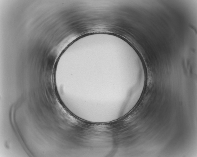 X0000103951293200810031337