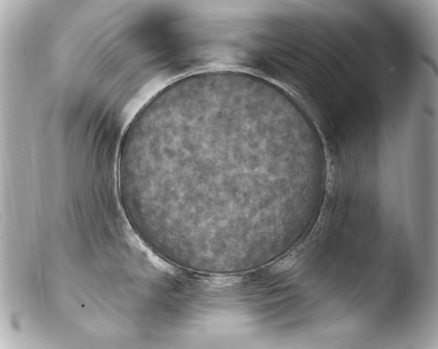 X0000103951294200810031337