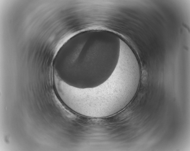 X0000103951295200810031337