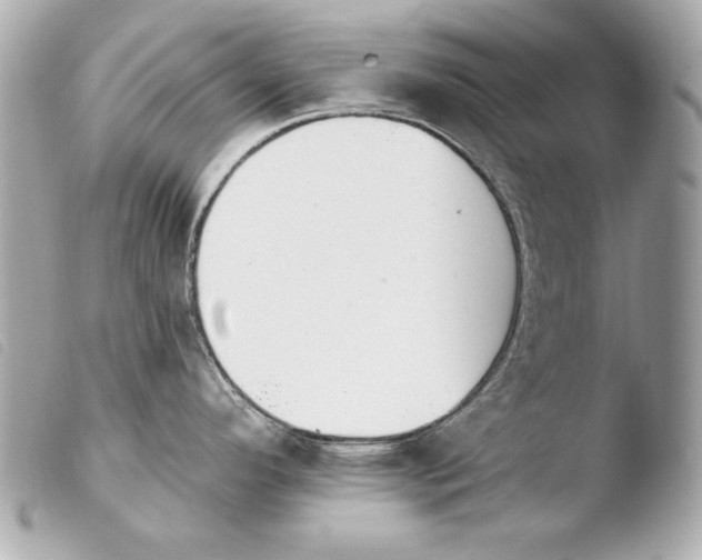 X0000103951296200810031337