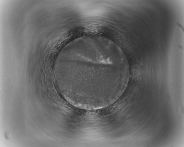 X0000103951297200810031336