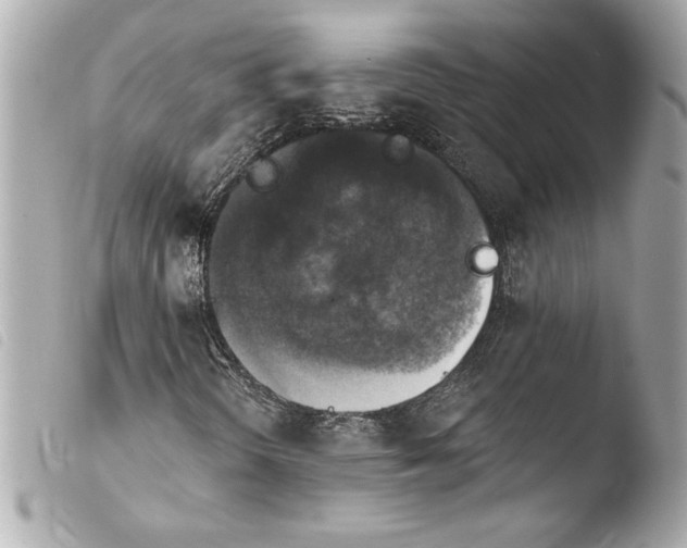 X0000103951298200810031336