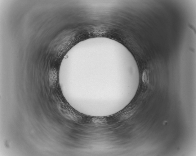 X0000103951299200810031336