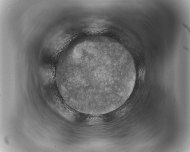 X0000103951300200810031336