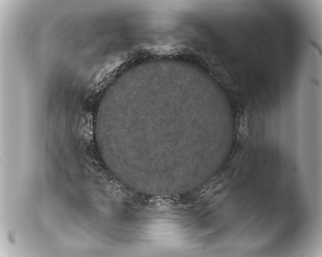 X0000103951301200810031336