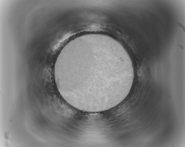 X0000103951304200810031336