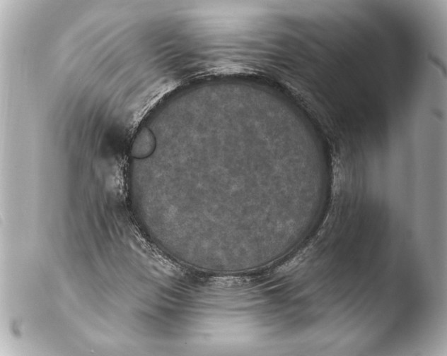 X0000103951305200810031336