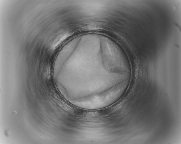 X0000103951306200810031336