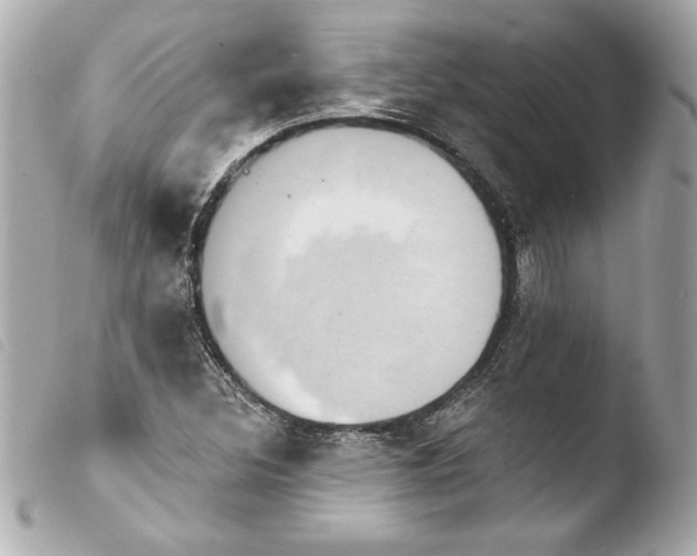 X0000103951308200810031336