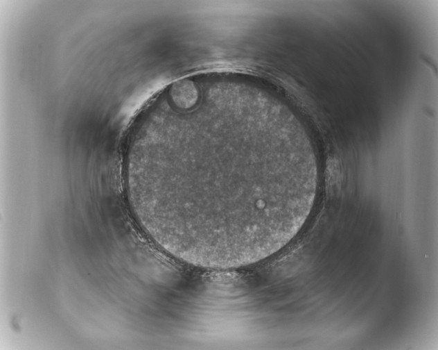 X0000103951310200810031336