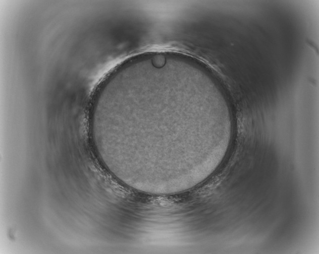 X0000103951311200810031336