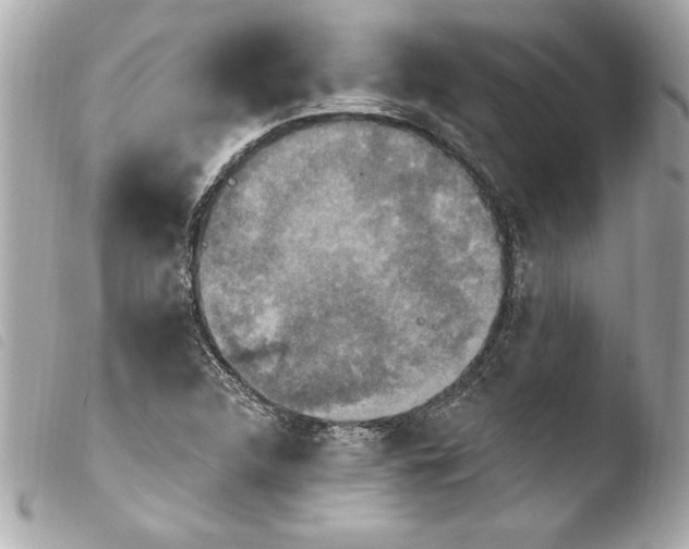 X0000103951312200810031336