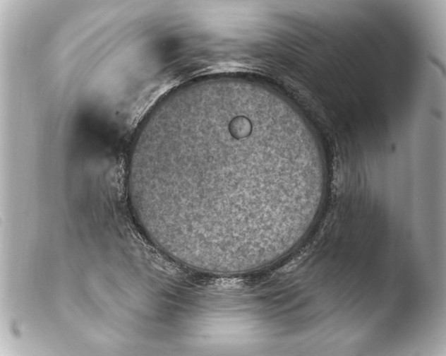 X0000103951313200810031336