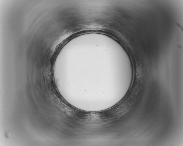 X0000103951315200810031336