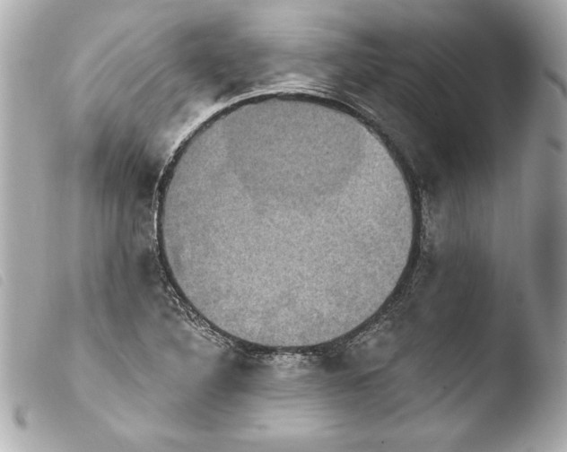 X0000103951316200810031336