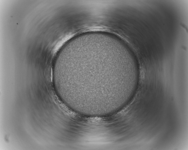 X0000103951317200810031336