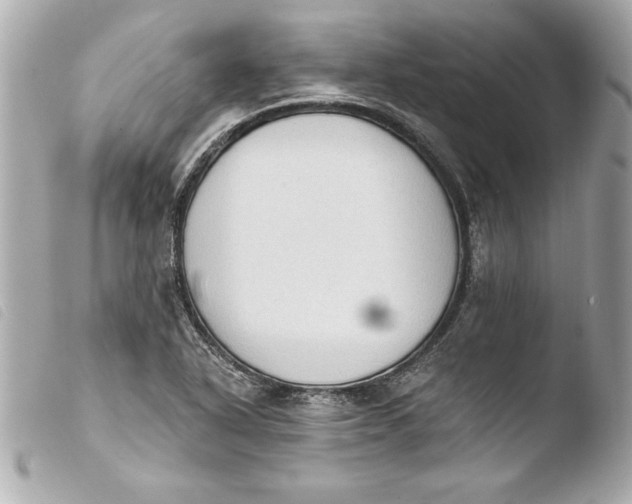 X0000103951318200810031336