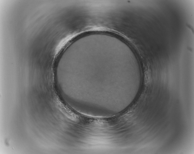 X0000103951319200810031336