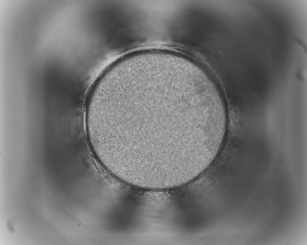 X0000103951320200810031336