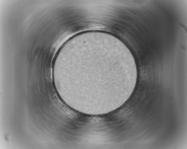 X0000103951324200810031336