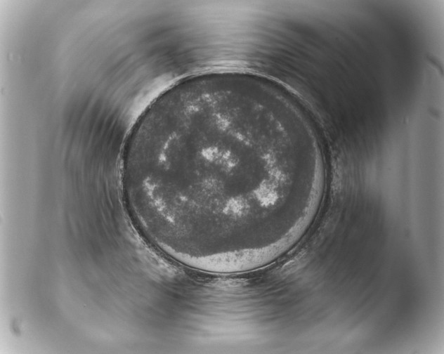 X0000103951325200810031337