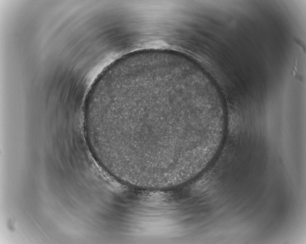 X0000103951326200810031337