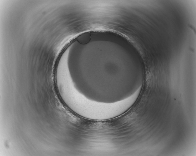 X0000103951327200810031337