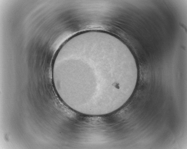 X0000103951328200810031337