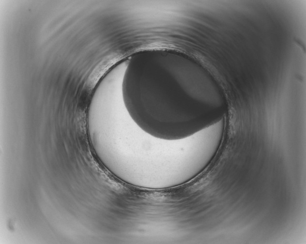 X0000103951329200810031337