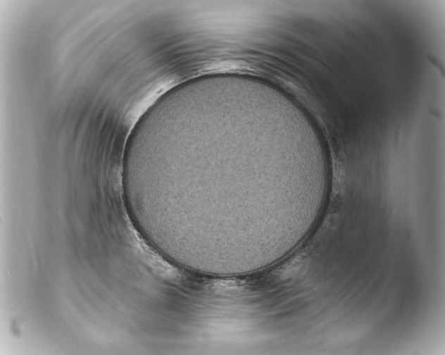 X0000103951330200810031337