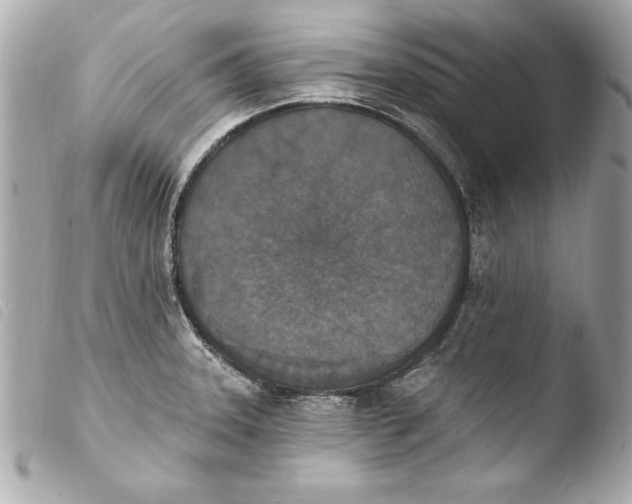 X0000103951331200810031337