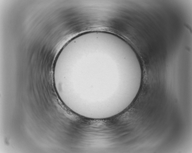 X0000103951332200810031337