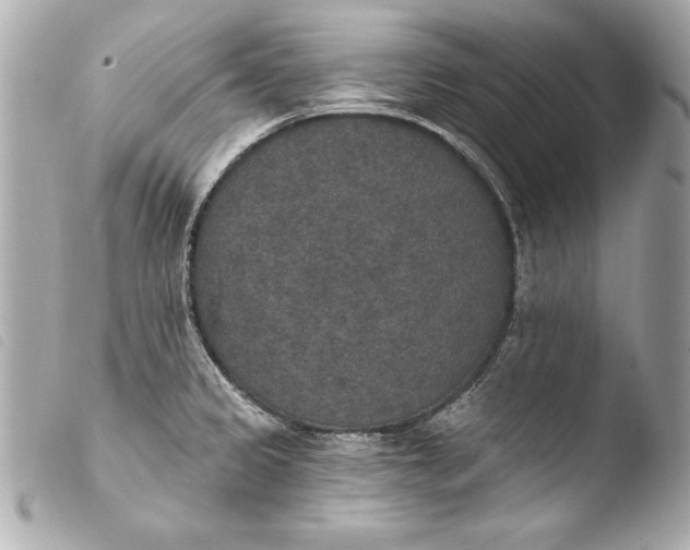 X0000103951333200810031337