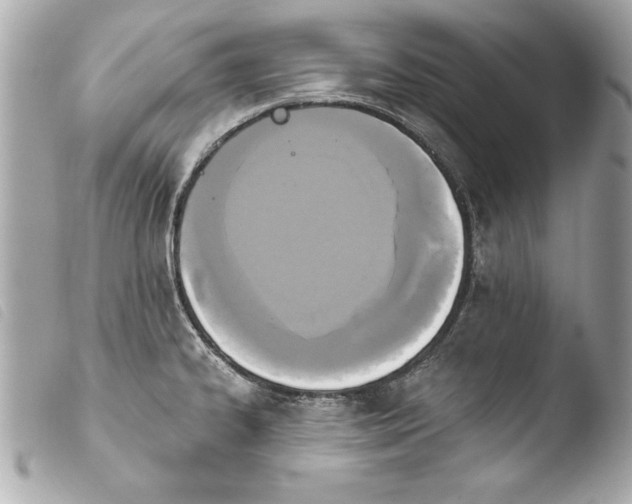 X0000103951334200810031337